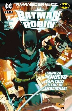 BATMAN Y ROBIN 01