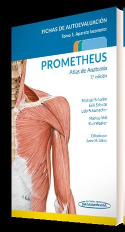 PROMETHEUS. ATLAS DE ANATOMÍA.FICHAS DE AUTOEVALUACIÓN