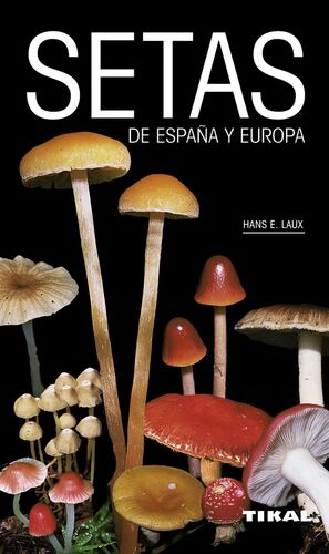 SETAS DE ESPAÑA Y EUROPA - R: 932-001